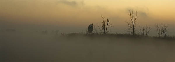 Sunrise at Rietvlei Nature Reserve
